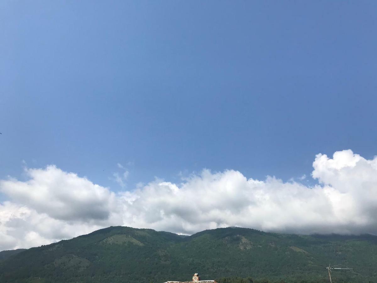Гостевой Дом С Садом Hotel Gagra Exterior foto